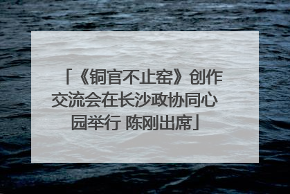 《铜官不止窑》创作交流会在长沙政协同心园举行 陈刚出席