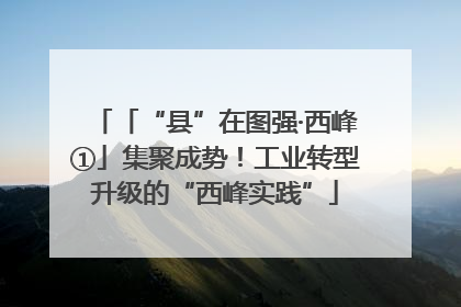 「“县”在图强·西峰①」集聚成势！工业转型升级的“西峰实践”