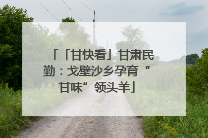 「甘快看」甘肃民勤：戈壁沙乡孕育“甘味”领头羊