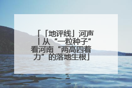 「地评线」河声丨从“一粒种子”看河南“两高四着力”的落地生根