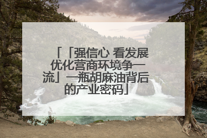 「强信心 看发展 优化营商环境争一流」一瓶胡麻油背后的产业密码