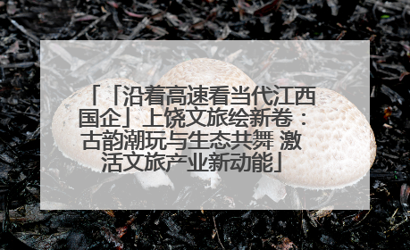 「沿着高速看当代江西国企」上饶文旅绘新卷：古韵潮玩与生态共舞 激活文旅产业新动能