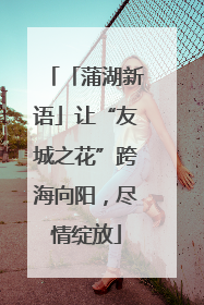 「蒲湖新语」让“友城之花”跨海向阳，尽情绽放