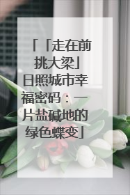 「走在前 挑大梁」日照城市幸福密码：一片盐碱地的绿色蝶变