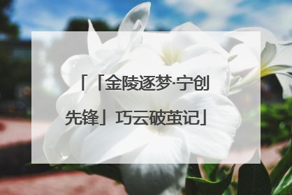 「金陵逐梦·宁创先锋」巧云破茧记