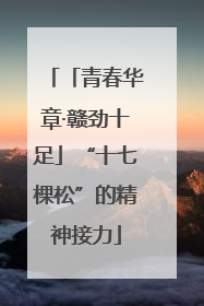 「青春华章·赣劲十足」“十七棵松”的精神接力