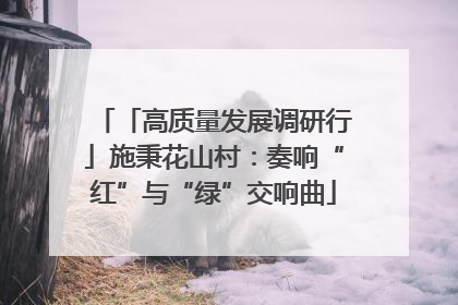 「高质量发展调研行」施秉花山村：奏响“红”与“绿”交响曲