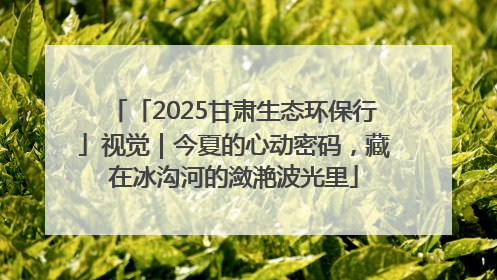 「2025甘肃生态环保行」视觉｜今夏的心动密码，藏在冰沟河的潋滟波光里