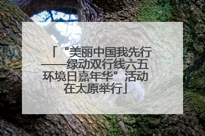 “美丽中国我先行——绿动双行线六五环境日嘉年华”活动在太原举行