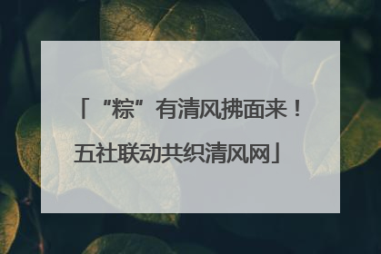 “粽”有清风拂面来！五社联动共织清风网
