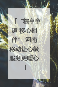 “粽享童趣 移心相伴” 河南移动让心级服务更暖心
