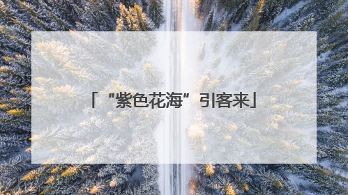 “紫色花海”引客来
