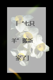 “七只羊”搬新家了