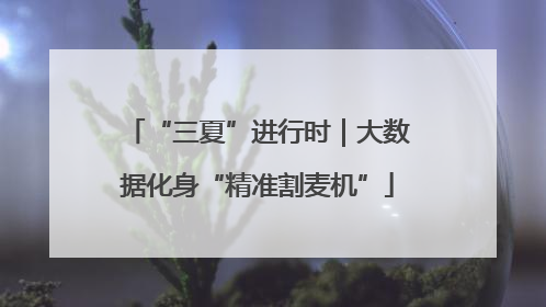 “三夏”进行时｜大数据化身“精准割麦机”