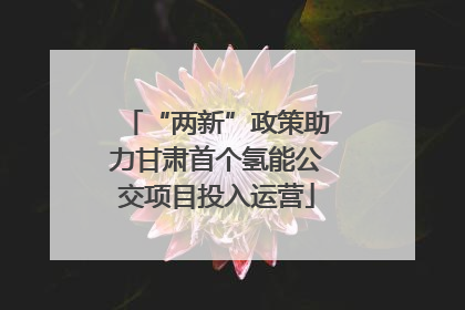 “两新”政策助力甘肃首个氢能公交项目投入运营