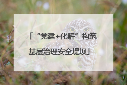 “党建+化解”构筑基层治理安全堤坝