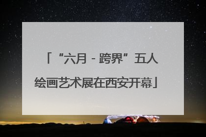 “六月 - 跨界”五人绘画艺术展在西安开幕