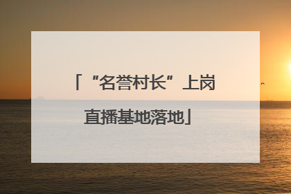 “名誉村长”上岗 直播基地落地