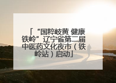 “国粹岐黄 健康铁岭”辽宁省第二届中医药文化夜市（铁岭站）启动