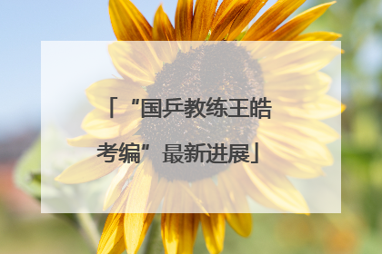 “国乒教练王皓考编”最新进展