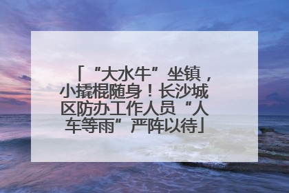 “大水牛”坐镇，小撬棍随身！长沙城区防办工作人员“人车等雨”严阵以待
