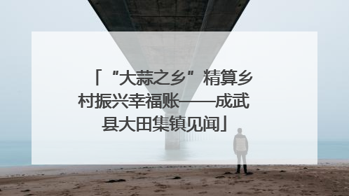 “大蒜之乡”精算乡村振兴幸福账——成武县大田集镇见闻