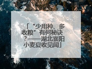 “少用种、多收粮”有何秘诀？——湖北襄阳小麦夏收见闻