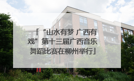 “山水有梦 广西有戏”第十三届广西音乐舞蹈比赛在柳州举行