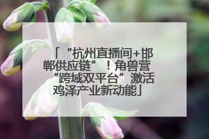 “杭州直播间+邯郸供应链”！角兽营“跨域双平台”激活鸡泽产业新动能