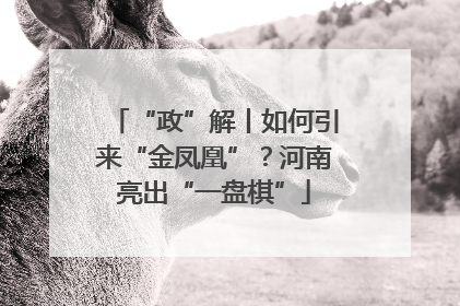 “政”解丨如何引来“金凤凰”？河南亮出“一盘棋”