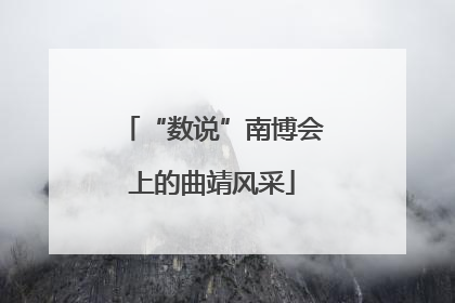 “数说”南博会上的曲靖风采