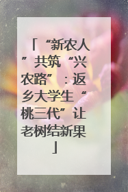“新农人”共筑“兴农路”：返乡大学生“桃三代”让老树结新果