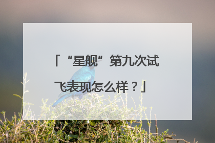 “星舰”第九次试飞表现怎么样？