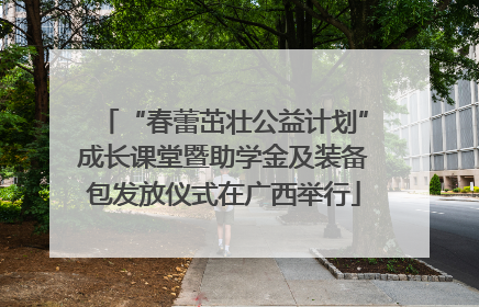 “春蕾茁壮公益计划”成长课堂暨助学金及装备包发放仪式在广西举行