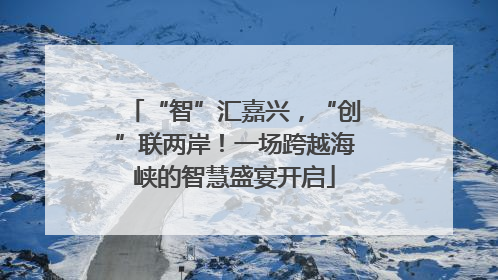 “智”汇嘉兴，“创”联两岸！一场跨越海峡的智慧盛宴开启