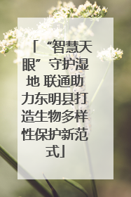 “智慧天眼”守护湿地 联通助力东明县打造生物多样性保护新范式