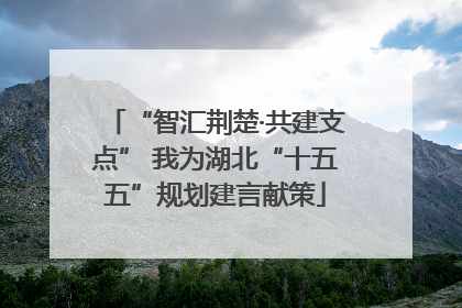 “智汇荆楚·共建支点” 我为湖北“十五五”规划建言献策