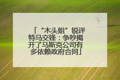 “木头姐”锐评特马交锋：争吵揭开了马斯克公司有多依赖政府合同
