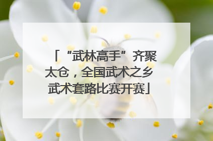 “武林高手”齐聚太仓，全国武术之乡武术套路比赛开赛