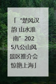 “楚风汉韵 山水淮南”2025八公山风景区推介会惊艳上海
