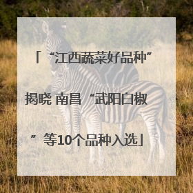 “江西蔬菜好品种”揭晓 南昌“武阳白椒”等10个品种入选