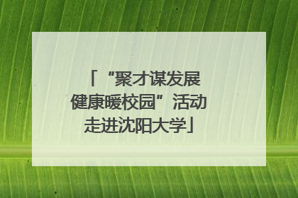 “聚才谋发展 健康暖校园”活动走进沈阳大学