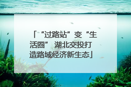 “过路站”变“生活圈” 湖北交投打造路域经济新生态