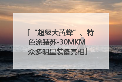 “超级大黄蜂”、特色涂装苏-30MKM 众多明星装备亮相