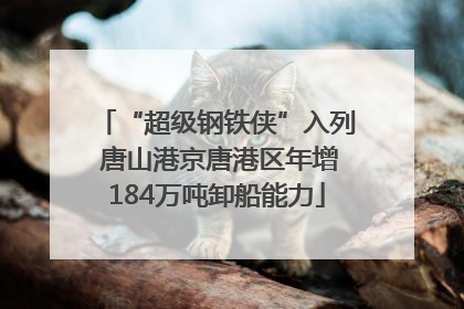 “超级钢铁侠”入列 唐山港京唐港区年增184万吨卸船能力