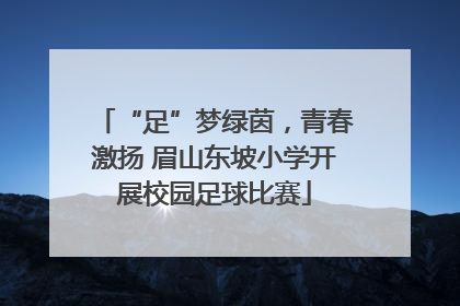 “足”梦绿茵，青春激扬 眉山东坡小学开展校园足球比赛