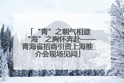 “青”之朝气相邀 “海”之胸怀奔赴——青海省招商引资上海推介会现场见闻