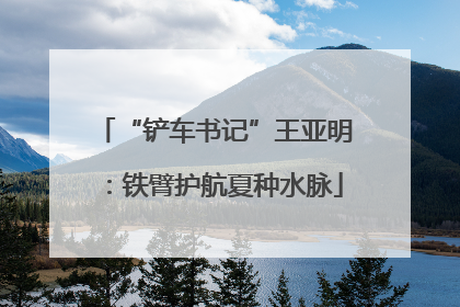 “铲车书记”王亚明：铁臂护航夏种水脉