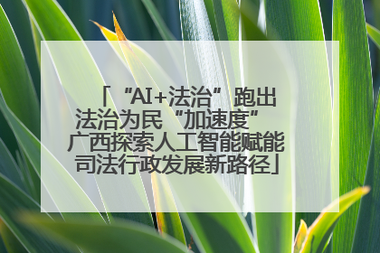 “AI+法治”跑出法治为民“加速度” 广西探索人工智能赋能司法行政发展新路径