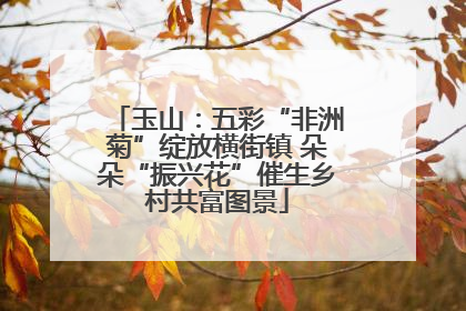 玉山：五彩“非洲菊”绽放横街镇 朵朵“振兴花”催生乡村共富图景